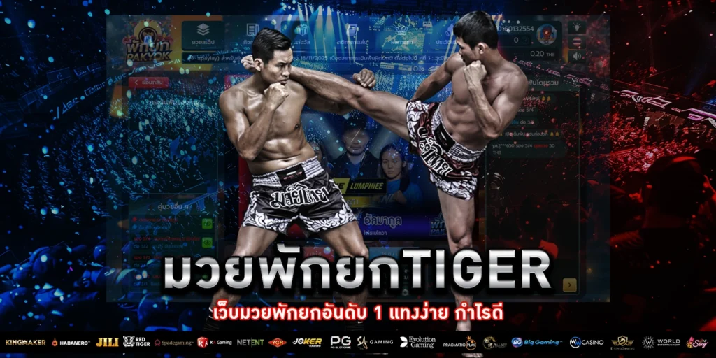 มวยพักยก tiger - Pakyok 168